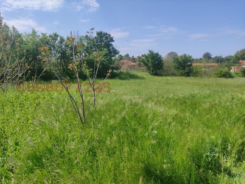 Продава ПАРЦЕЛ, с. Чоба, област Пловдив, снимка 6 - Парцели - 52783428