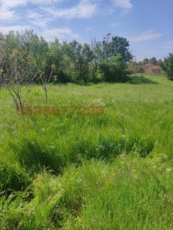 Продава ПАРЦЕЛ, с. Чоба, област Пловдив, снимка 3 - Парцели - 52783428