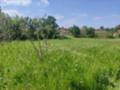 Продава ПАРЦЕЛ, с. Чоба, област Пловдив, снимка 6