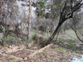 Продава КЪЩА, град София, с. Кокаляне • 250000 € • 34048787 — Holmes.bg