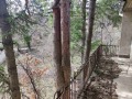 Продава КЪЩА, град София, с. Кокаляне • 250000 € • 34048787 — Holmes.bg