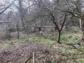 Продава КЪЩА, град София, с. Кокаляне • 250000 € • 34048787 — Holmes.bg