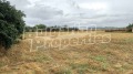 Продава ПАРЦЕЛ, област Стара Загора, с. Преславен • 19500 € • 28637742 — Holmes.bg