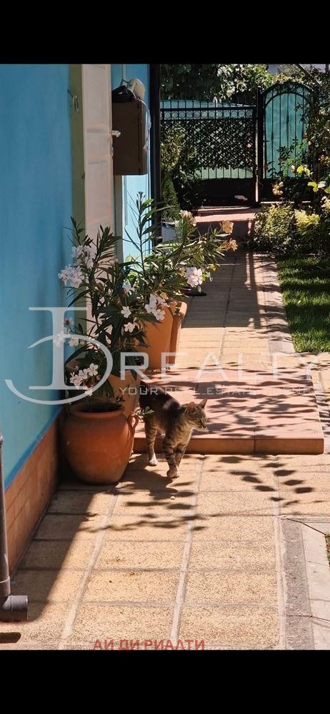 ������� ���� | Imot.bg � ����������� 5