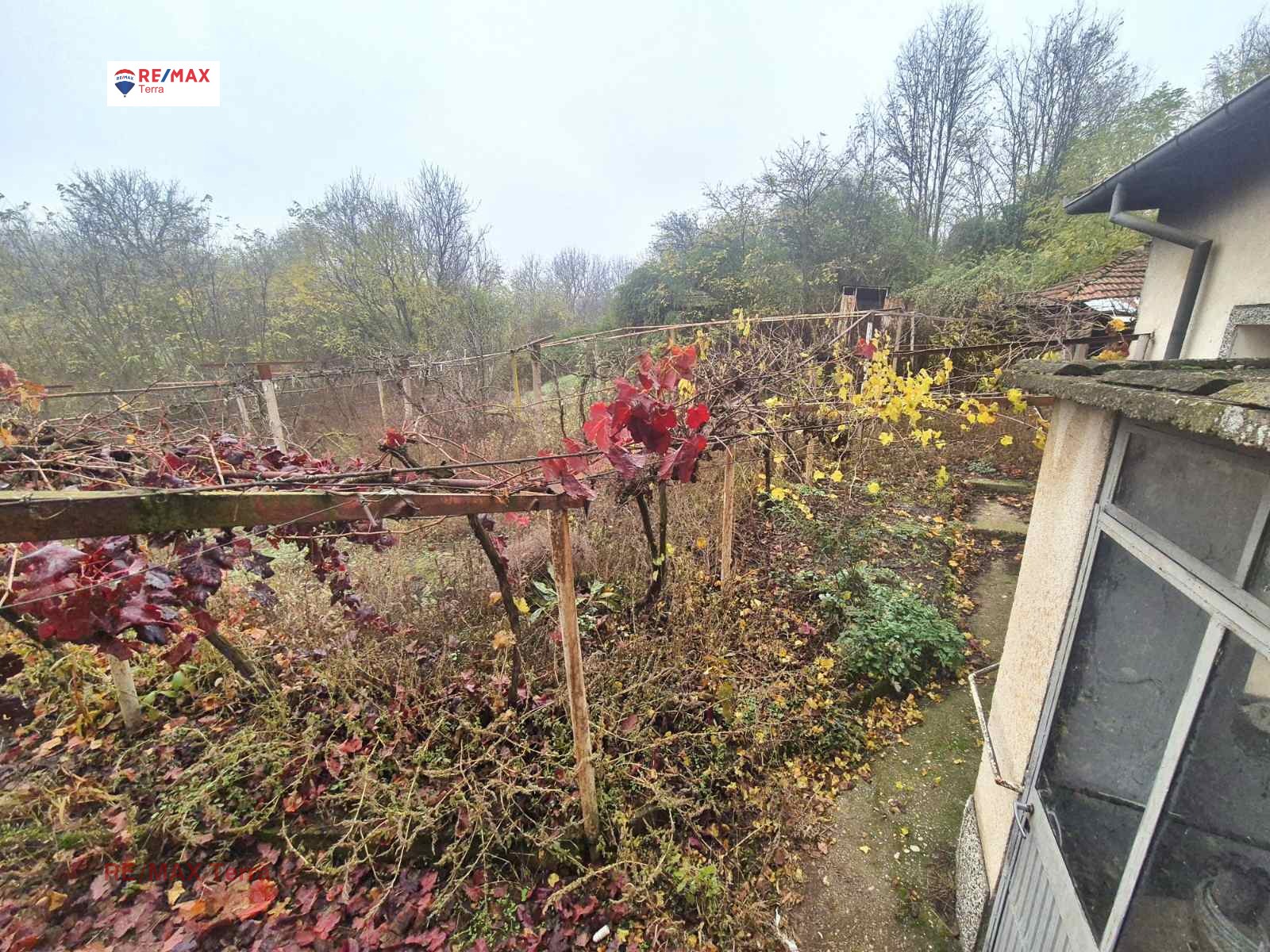 ������� ���� | Imot.bg � ����������� 13