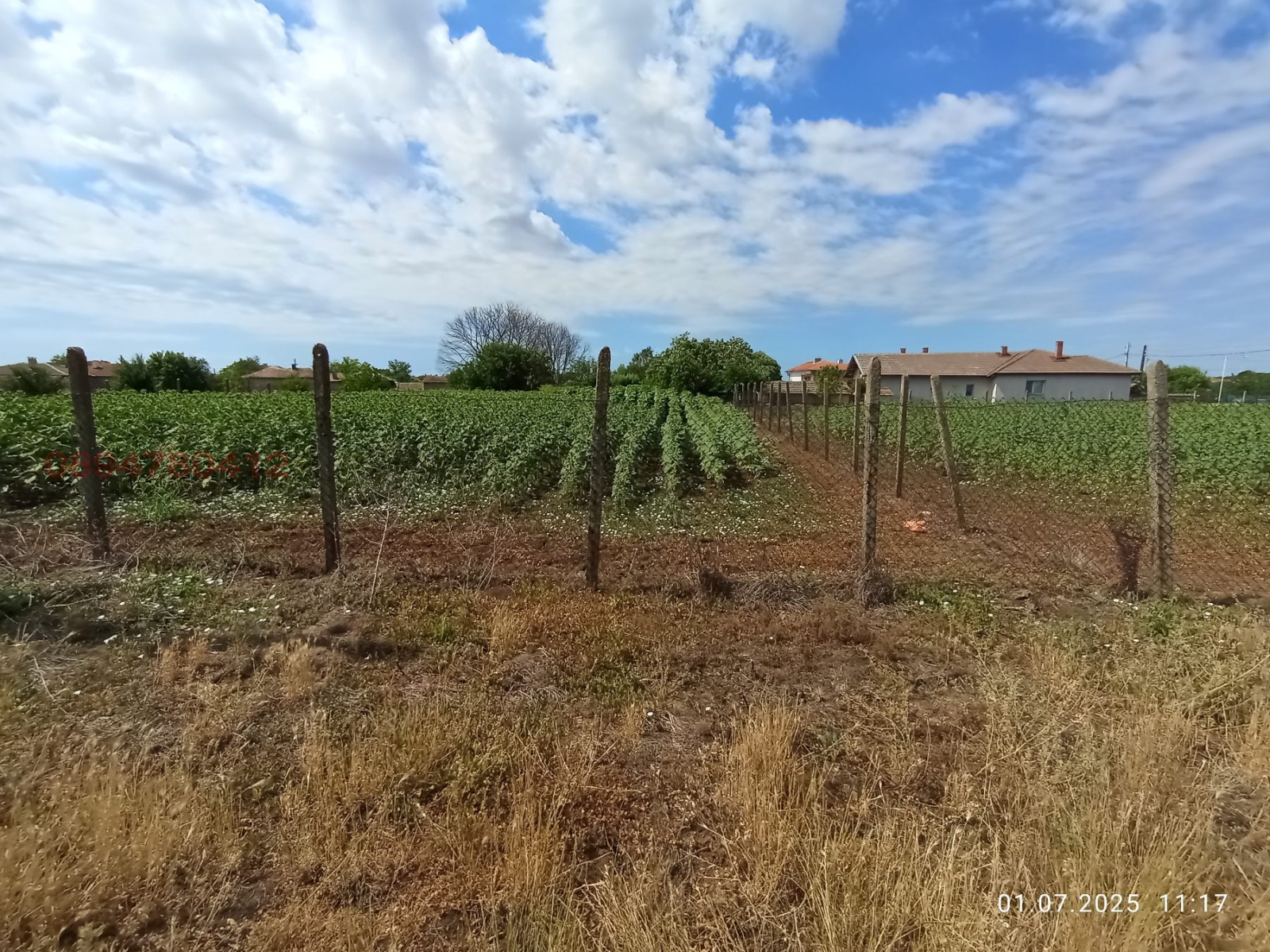 Продава ПАРЦЕЛ, гр. Шабла, област Добрич, снимка 2 - Парцели - 53787785