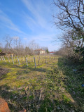 Продава ПАРЦЕЛ, с. Карабунар, област Пазарджик, снимка 2