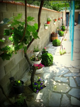 ������� ���� | Imot.bg � ����� ������ 5