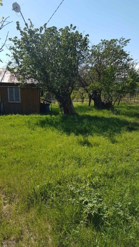 Parcelle Osenovo, région Varna