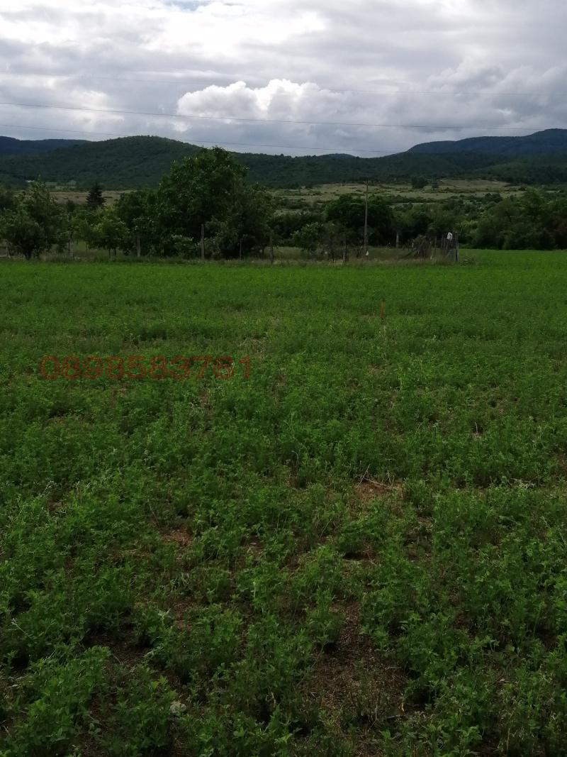 Продава ПАРЦЕЛ, с. Црънча, област Пазарджик, снимка 5 - Парцели - 52786280