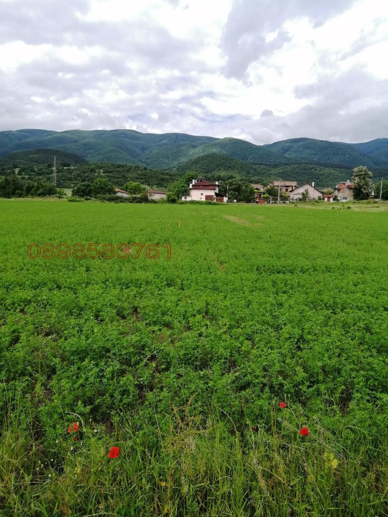 Продава ПАРЦЕЛ, с. Црънча, област Пазарджик, снимка 8 - Парцели - 52786280