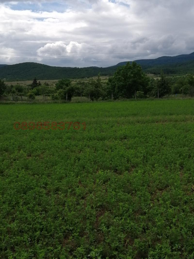 Продава ПАРЦЕЛ, с. Црънча, област Пазарджик, снимка 7 - Парцели - 52786280