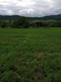 Продава ПАРЦЕЛ, с. Црънча, област Пазарджик, снимка 4