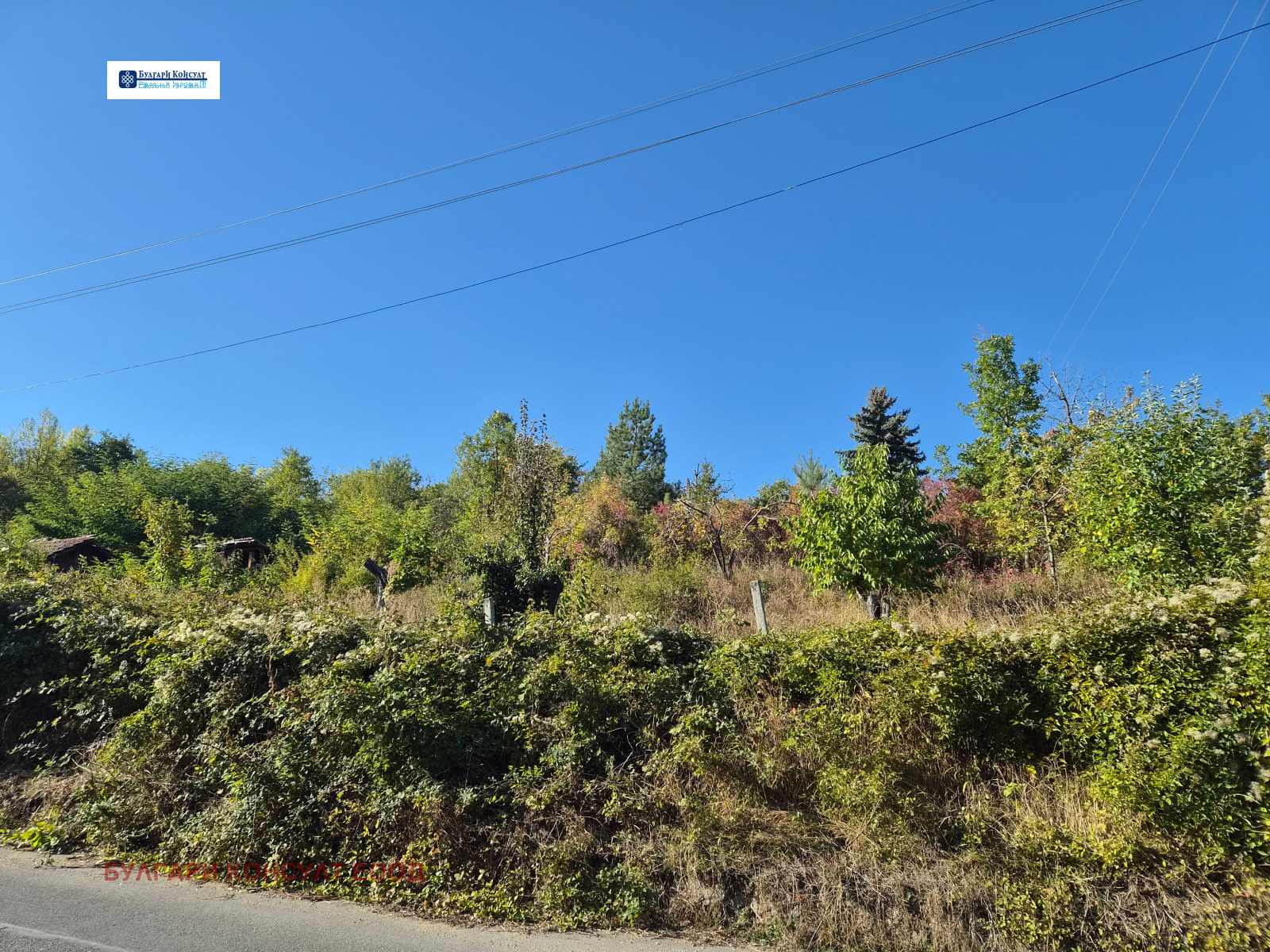������� ������ | Imot.bg � ����������� 3