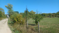 Продава ПАРЦЕЛ, с. Калище, област Перник, снимка 1