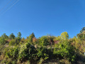Продава  Парцел град Кюстендил , в.з. Юг , 1390 кв.м | 85381695 - изображение [5]