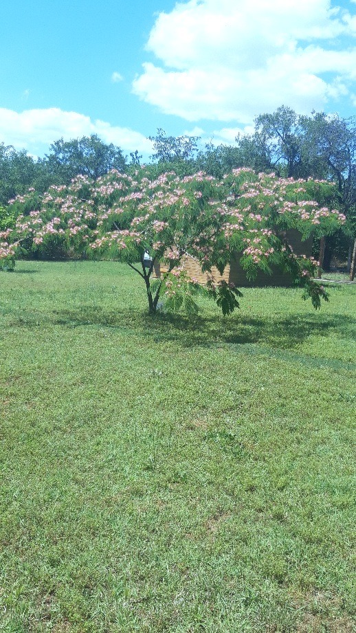 Продава КЪЩА, с. Радево, област Сливен, снимка 16 - Къщи - 52780045