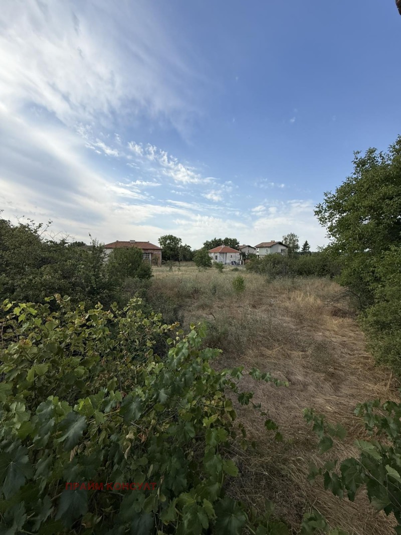 Продава  Къща област Пловдив , с. Беловица , 106 кв.м | 71023356 - изображение [9]