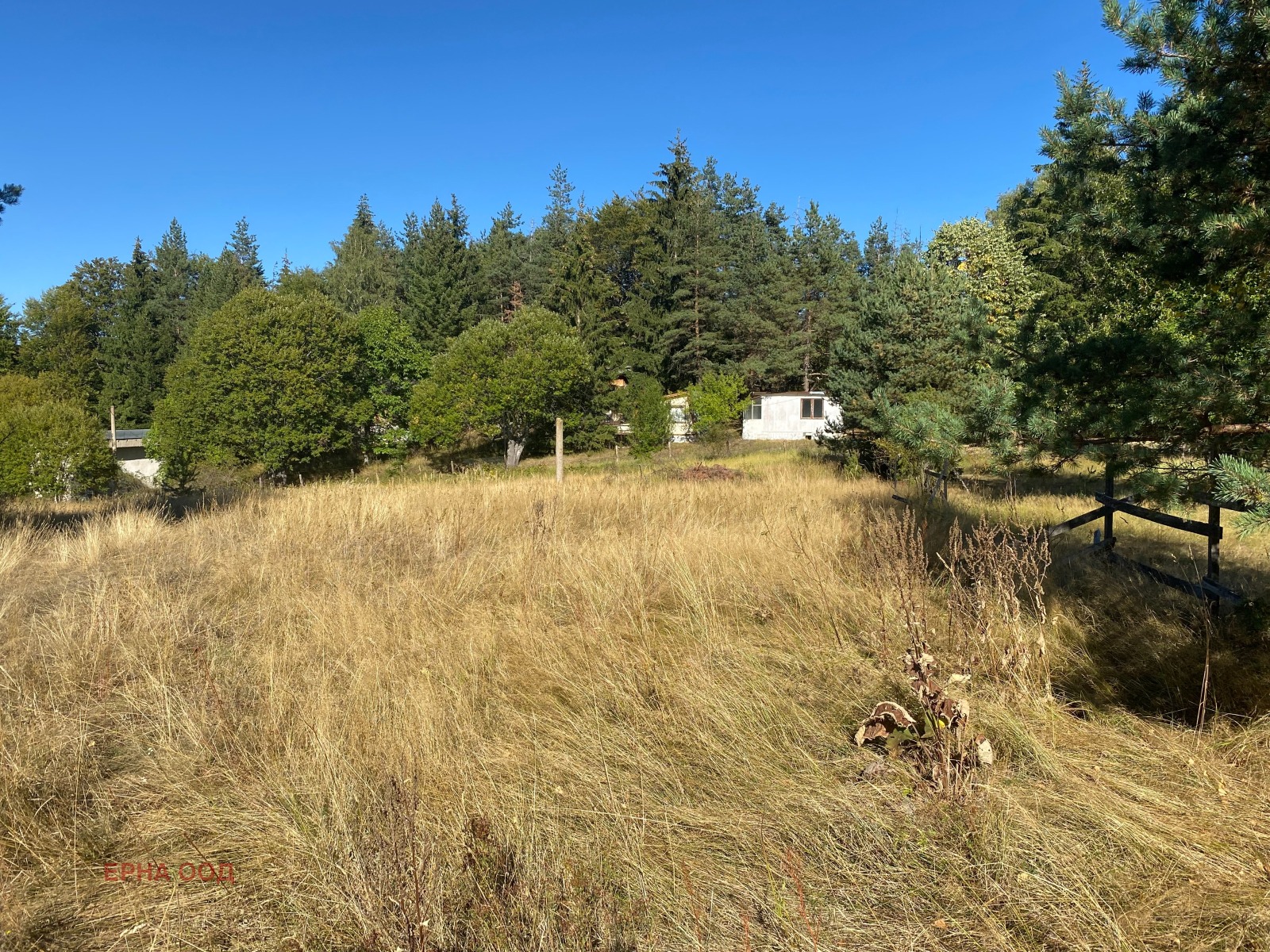 Продава ПАРЦЕЛ, гр. София, с. Плана, снимка 3 - Парцели - 53723052