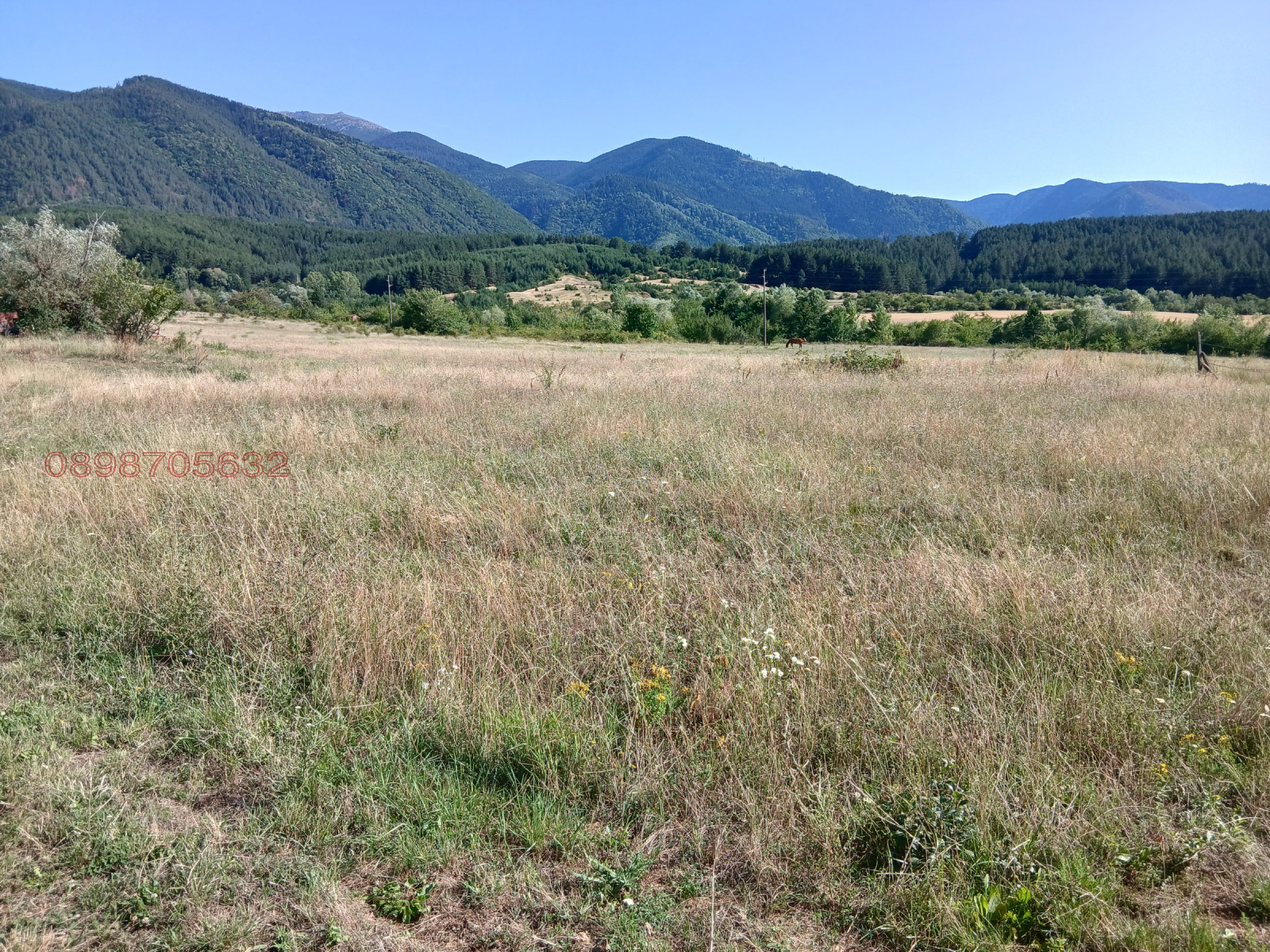 Продава ПАРЦЕЛ, с. Ресилово, област Кюстендил, снимка 2 - Парцели - 55451557