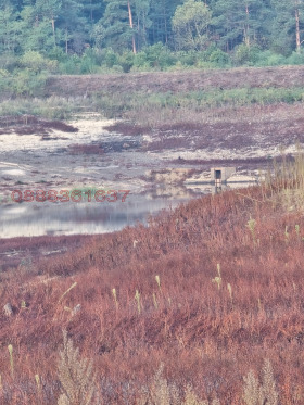 ������� ������ | Imot.bg � ����� ������ 15