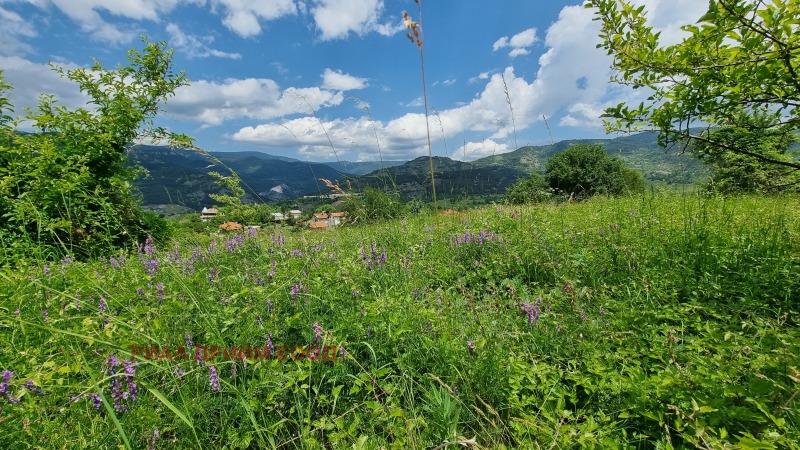 Till salu  Komplott region Smolyan , Pavelsko , 780 kvm | 92146810 - bild [14]