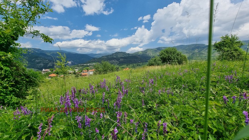 Zu verkaufen  Handlung region Smoljan , Pawelsko , 780 qm | 92146810 - Bild [2]