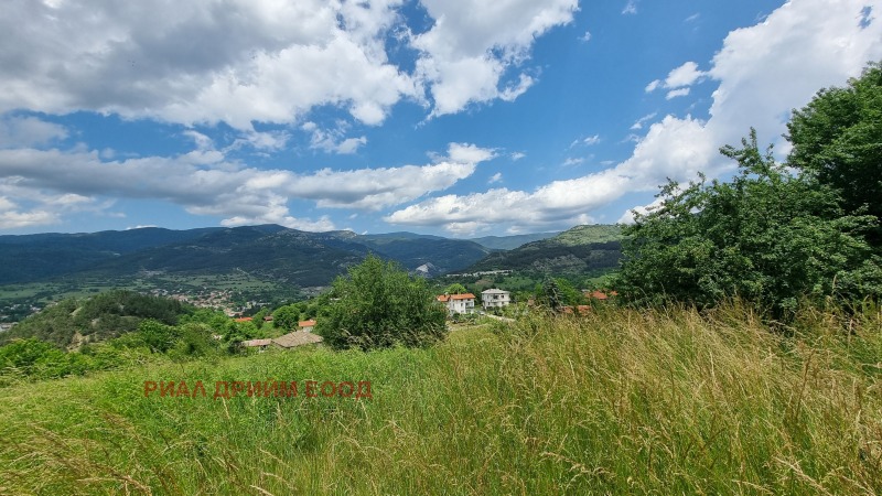 Till salu  Komplott region Smolyan , Pavelsko , 780 kvm | 92146810 - bild [12]