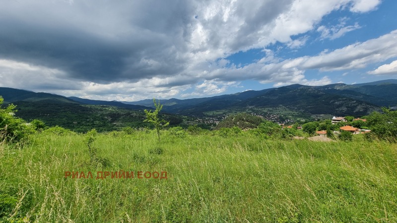 Na prodej  Spiknutí oblast Smolyan , Pavelsko , 780 m2 | 92146810 - obraz [13]