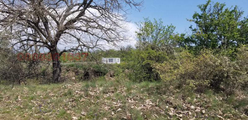 Продава ПАРЦЕЛ, с. Средногорово, област Стара Загора, снимка 11 - Парцели - 52782068