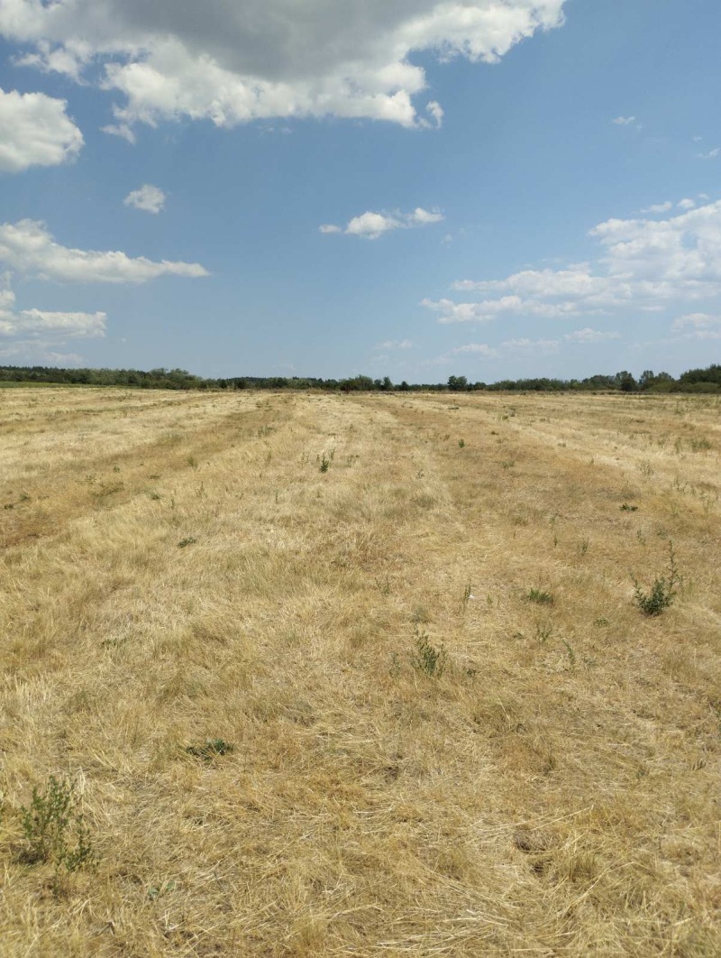Προς πώληση  Γη περιοχή Σόφια , Πεταρτσ , 5 dka | 22275921 - εικόνα [6]