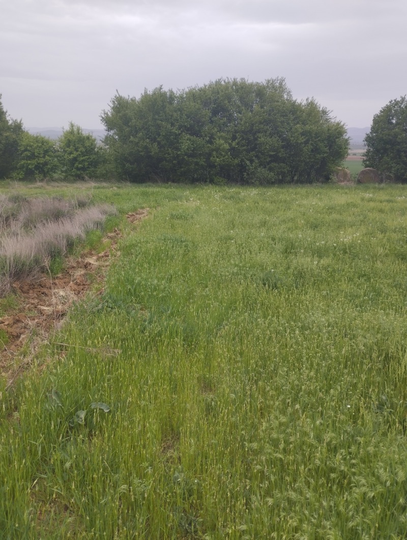 Προς πώληση  Γη περιοχή Σόφια , Πεταρτσ , 5 dka | 22275921