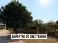Продава КЪЩА, с. Ореховица, област Плевен, снимка 4