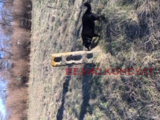 ������� ������ | Imot.bg � ����������� 7