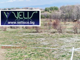 ����� ������� ������,���� �����, �. ��������