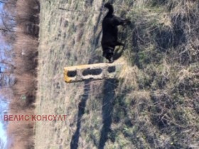 ������� ������ | Imot.bg � ����� ������ 7