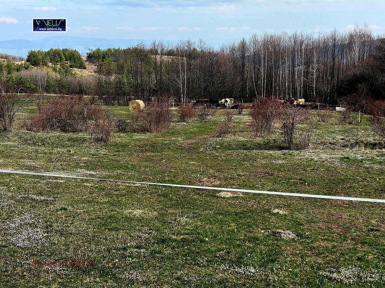 Продава ПАРЦЕЛ, гр. София, с. Бистрица, снимка 4 - Парцели - 51300452