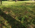 Продава ПАРЦЕЛ, с. Рибарица, област Ловеч, снимка 5