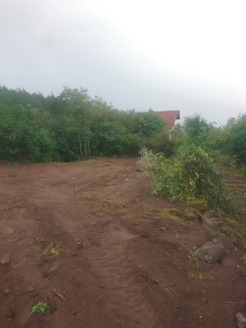 Na prodej  Spiknutí Sofia , Katina , 391 m2 | 85529817