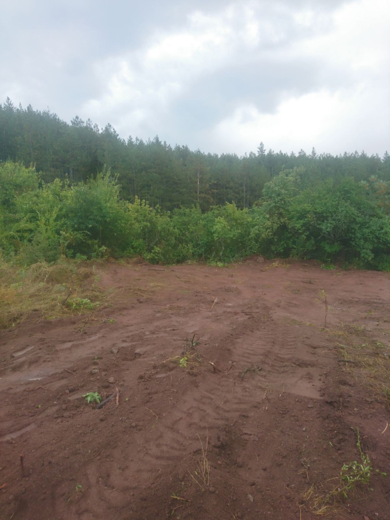 Na prodej  Spiknutí Sofia , Katina , 391 m2 | 85529817 - obraz [2]