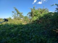 Продава КЪЩА, област Кюстендил, с. Невестино • 105000 € • 44815590 — Holmes.bg