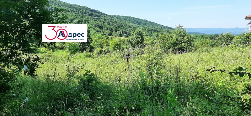 Продава ПАРЦЕЛ в област Велико Търново, гр. Елена - 2886 кв.м / 33 000 € » 64 542.39 лв., АДРЕС НЕДВИЖИМИ ИМОТИ - КАНТОРА ЕЛЕНА