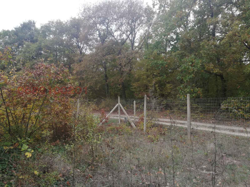For Sale  Plot Varna , m-t Rakitnika , 600 sq.m | 39342706 - image [3]