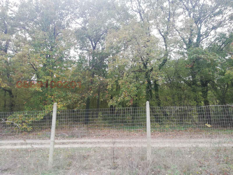 For Sale  Plot Varna , m-t Rakitnika , 600 sq.m | 39342706