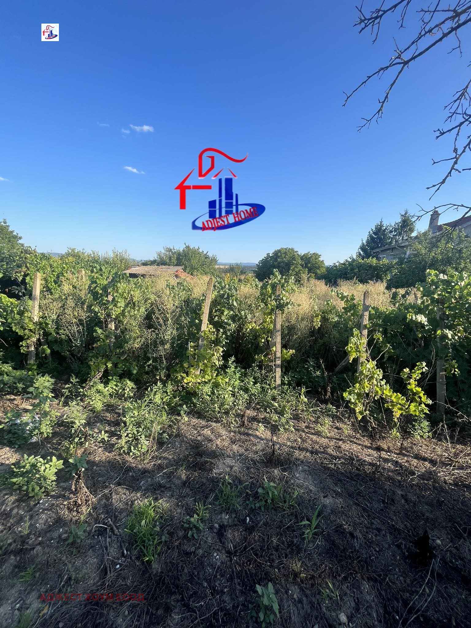 ������� ���� | Imot.bg � ����������� 5