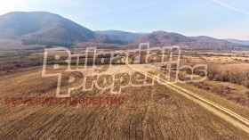 ������ ������� ������