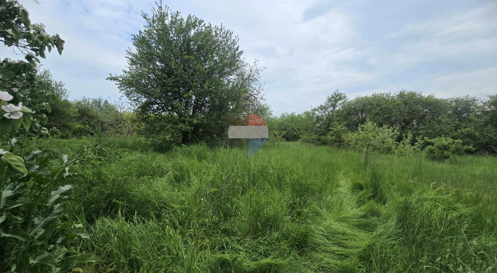 Продава ПАРЦЕЛ, с. Изгрев, област Варна, снимка 2 - Парцели - 54591265