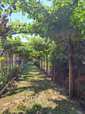 ������� ���� | Imot.bg � ����� ������ 3