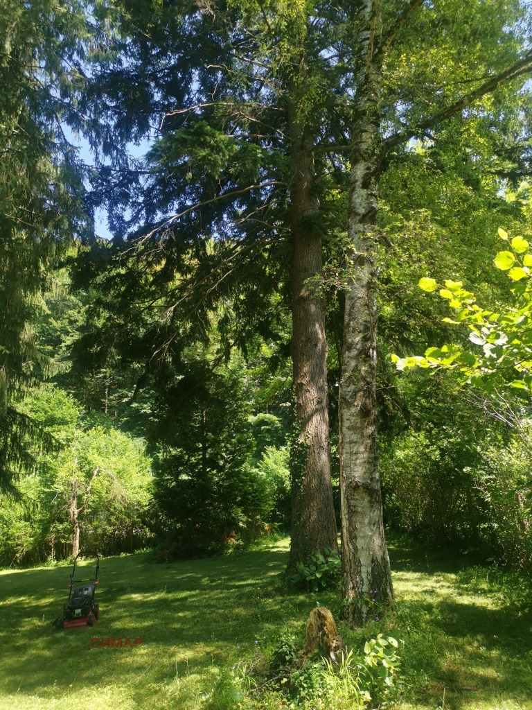 Zu verkaufen  Haus region Sofia , Jamna , 134 qm | 29296595 - Bild [4]