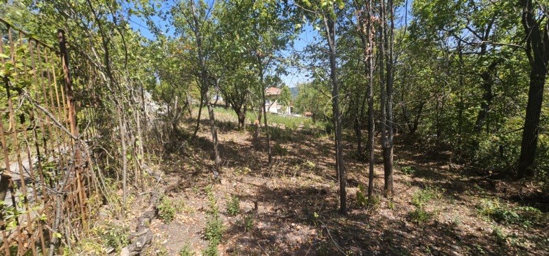 Satılık  Ev Sofia , Pançarevo , 90 metrekare | 31784692 - görüntü [5]